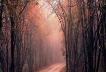 欧博：2025年宣城市青少年羽毛球锦标赛：宣州区再夺第一.