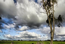 欧博:天山时评丨在“尔滨”拼出新疆“冰雪奇旅”石榴云/新疆日报.