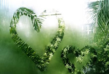 欧博：加维：戴上队长袖标是我的梦想，感谢佩德里.